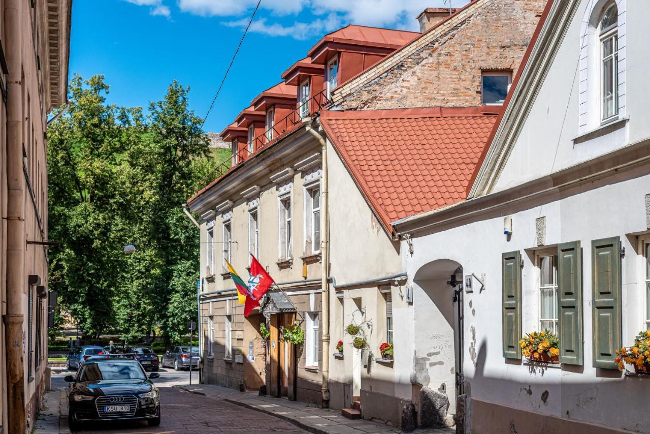 Sun Lighted Cathedral Square Studio Apartment Vilnius Bagian luar foto
