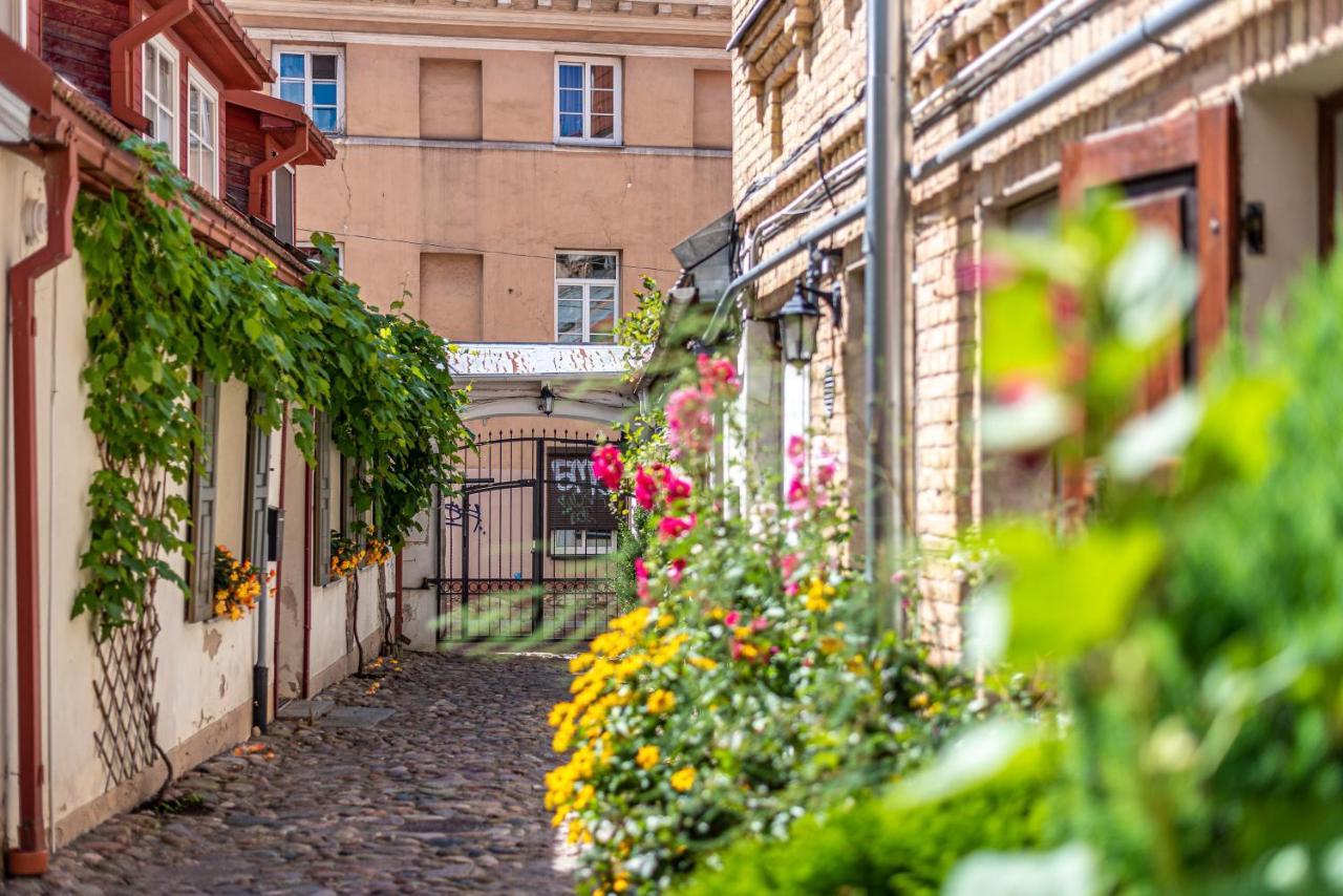 Sun Lighted Cathedral Square Studio Apartment Vilnius Bagian luar foto