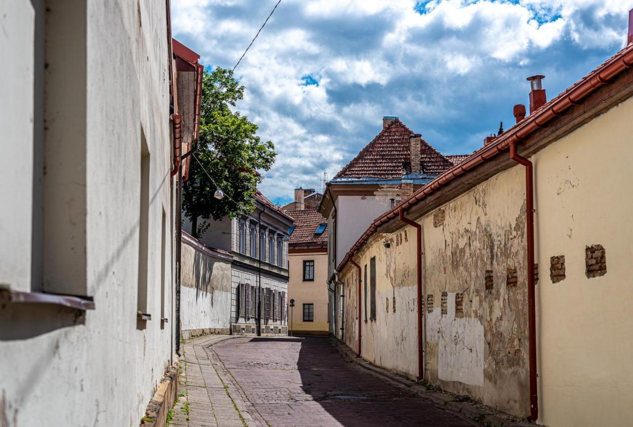 Sun Lighted Cathedral Square Studio Apartment Vilnius Bagian luar foto
