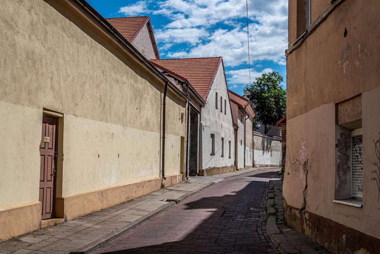 Sun Lighted Cathedral Square Studio Apartment Vilnius Bagian luar foto